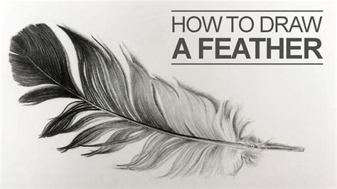 Practice makes perfect, actually, perfect practice makes perfect because if you drawing a simple pencil with no sketching takes about 30 seconds. How to Draw a Feather