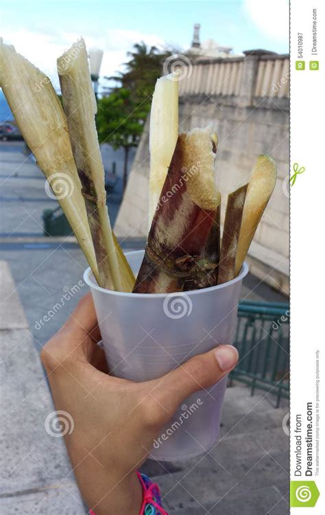 Sugar Canes Stock Image Image Of Delicious Canes Pieces 54010987