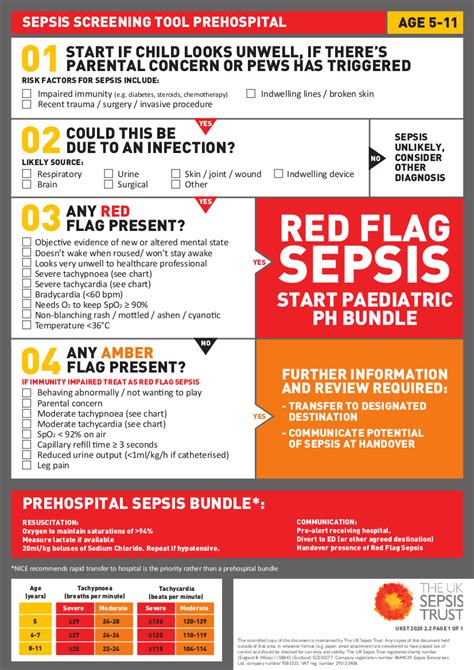 Understanding Sepsis — Real First Aid — Real First Aid