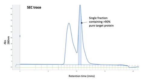 Size Exclusion Chromatography Size Does Matter