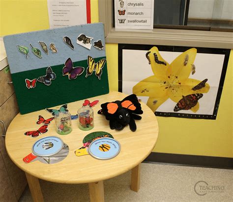 Setting Up The Classroom For The Butterfly Theme