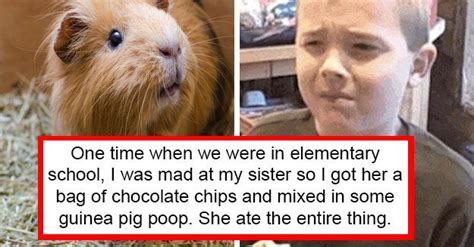 19 messed up stories you literally won t believe unless you have siblings