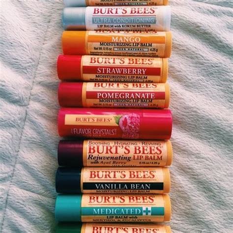 best chapstick ever in 2020 burts bees chapstick lip balm collection