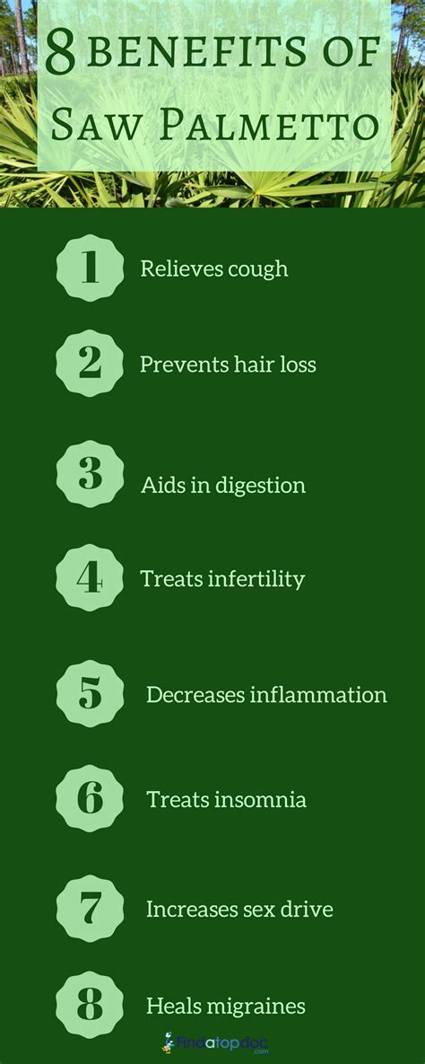 Infographic Saw Palmetto Health Benefits And Uses