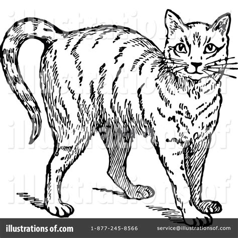 Cat Clipart 1135202 Illustration By Prawny Vintage