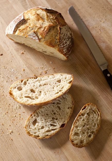 the new artisan bread in five minutes a day master recipe back to basics updated artisan