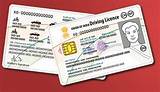 Pictures of Indian International Driving License In Usa