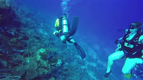 Diving In Belize In December Memugaa