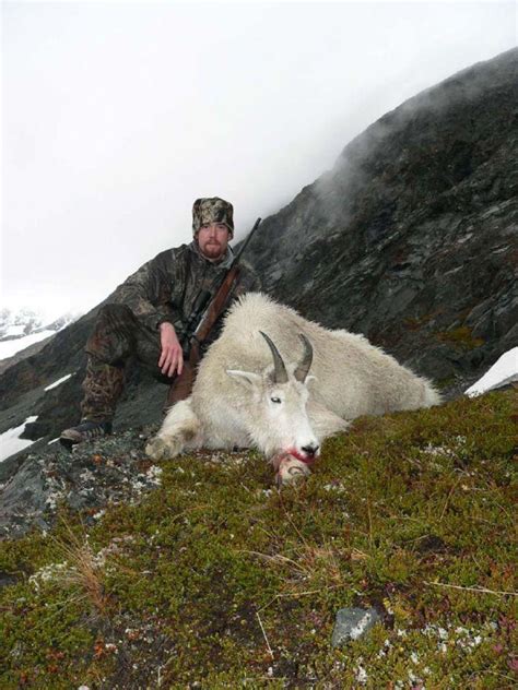 Alaska Mountain Goat Hunting Information With Big Game Guide And