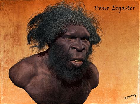 Homo Ergaster