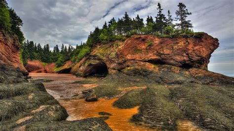 Caves Et Falaises à Marée Basse Sur La Baie De Fundy Canada Bing