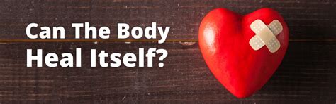 Can The Body Heal Itself Dody Chiropractic Center For Wholeness