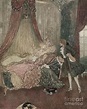 Sleeping Beauty, c1915 Drawing by Edmund Dulac