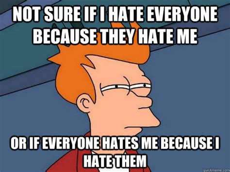 Not Sure If I Hate Everyone Because They Hate Me Or If Everyone Hates