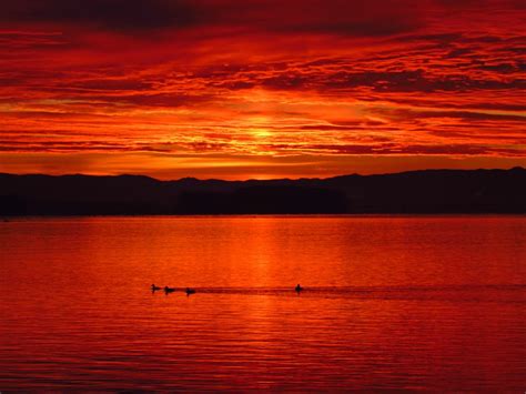 Red Sunset Lake Royalty Free Stock Photo
