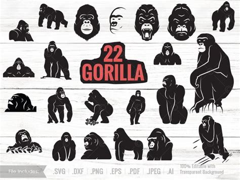 Gorilla SVG Bundel Aap svg Aap svg King kong gorilla Etsy België