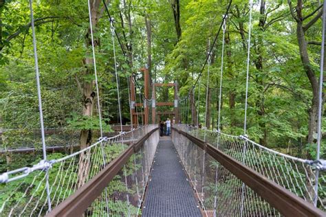 5 Things To Do At The Holden Arboretum Near Cleveland Ohio