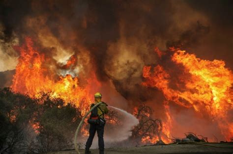 Hal itu untuk menghindari risiko api. Penegak Hukum Didorong Usut Tuntas Pembakaran Hutan di ...