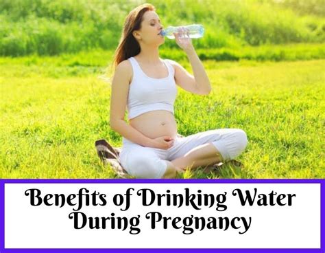 7 Benefits Of Drinking Water During Pregnancy Theblessedmom