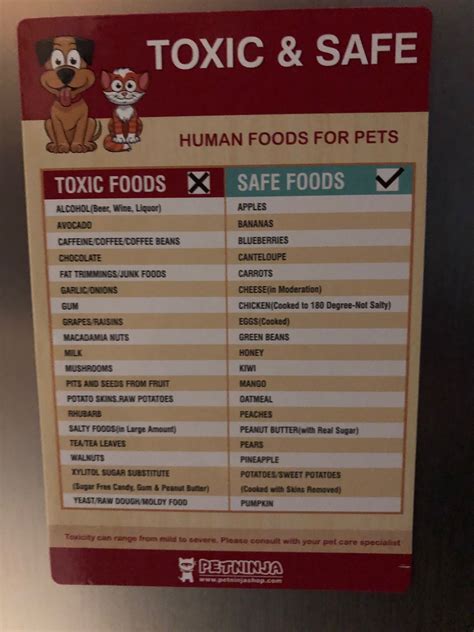 Check spelling or type a new query. Pin by Ellie on Remy & Archie | Safe food, Toxic foods, Human food
