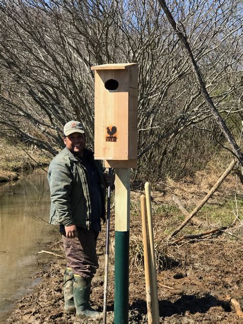 A couple years ago we decided to but once the ducklings were actually ordered, i realized i didn't have the time to spend weeks and weeks messing around with crappy tools, being. Wood Duck House Plans Ducks Unlimited