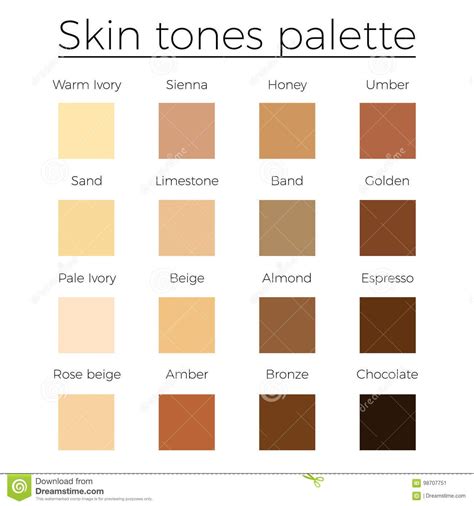 Skin Tones Color Palette Vector Stock Vector Illustration Of Glamour Human Colors