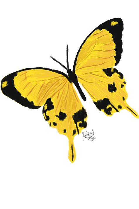 Yellow Butterfly Art Print Digital Art Unframed Art Print Butterfly