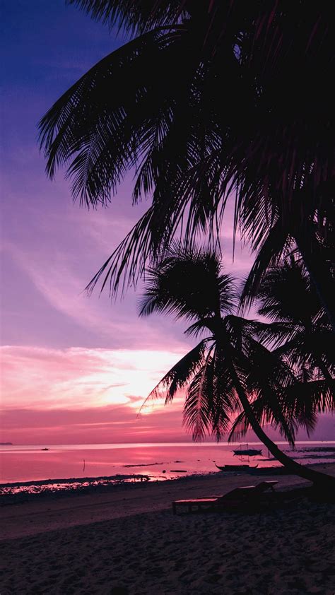 Download Palm Tree Beach Wallpaper