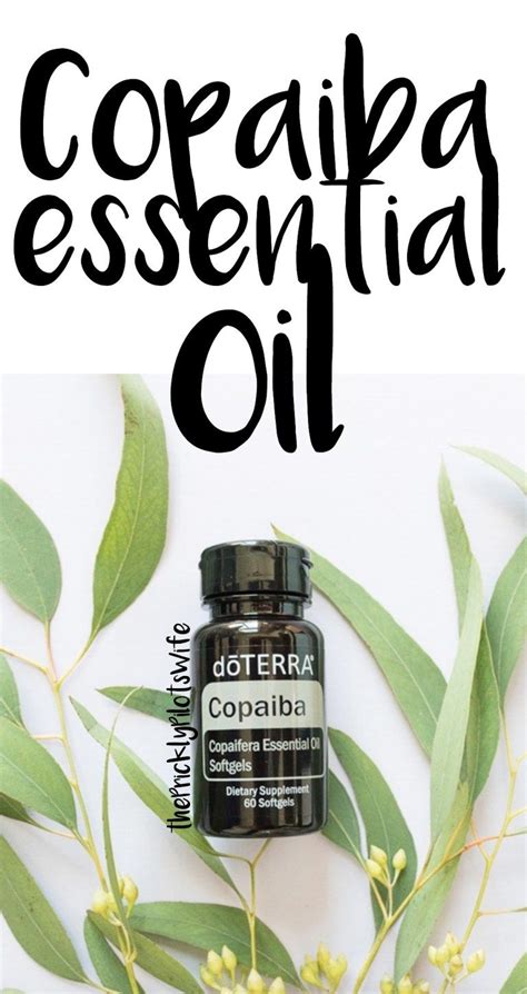 Copaiba Essential Oil Why You NEED This Oil Benefits And Uses