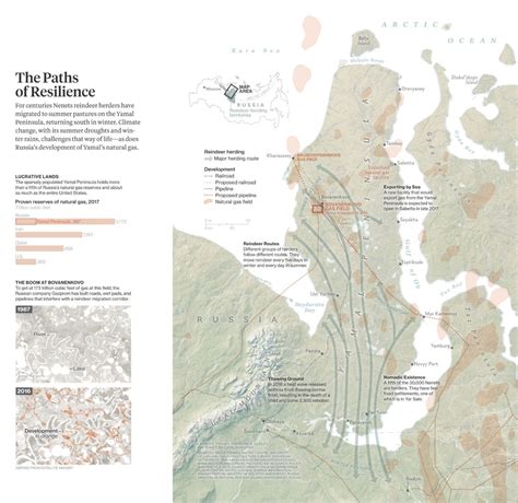 The Paths Of Resilience National Geographic Society