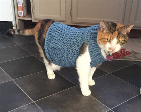 pin on cat sweater pattern