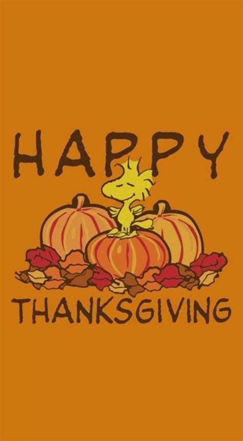 50 Peanuts Thanksgiving Wallpapers Free Download 2023 Quotesprojectcom