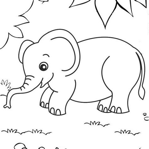 Elephant In The Middle Forest Coloring Pages For Kids Mitraland
