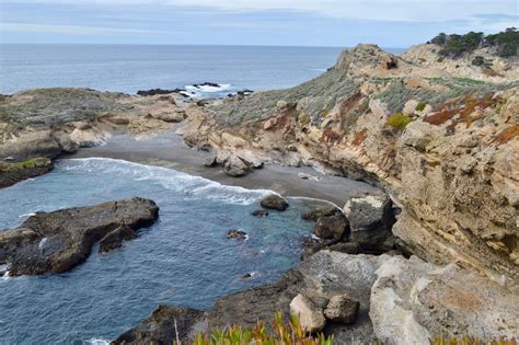 Point Lobos Nature Reserve The Crown Jewel Of The State Park System