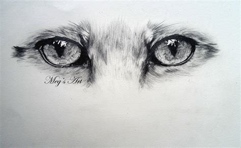 Fox Eyes Drawing In Pencil Animal Art Pinterest Foxes Eye And