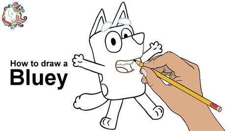 How To Draw Bluey The Puppy Marcellus Barclay