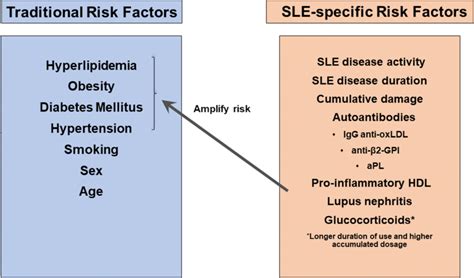 Sle Specific And Traditional Risk Factors For Cvd Traditional Risk