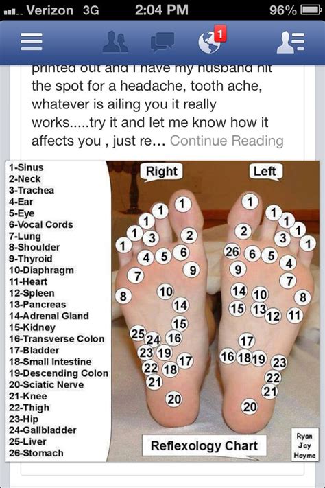 Reflexology Reflexology Reflexology Chart Massage Therapy