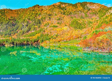 Aerial View Of Five Flower Lake At Autumn Sunrise Time Stock Photo