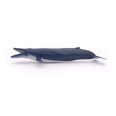 Papo Marine Life Blue Whale Toy Figure Multi