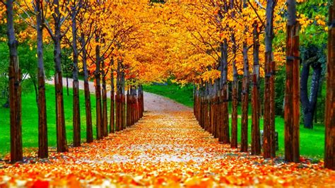 Beautiful Autumn Wallpapers 66 Background Pictures