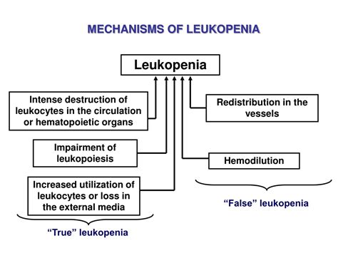 Ppt Leukocytosis Leukopenia Powerpoint Presentation Free Download