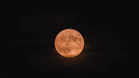 Fenomena Supermoon 1 Agustus 2023 Berikut Cara Menyaksikannya