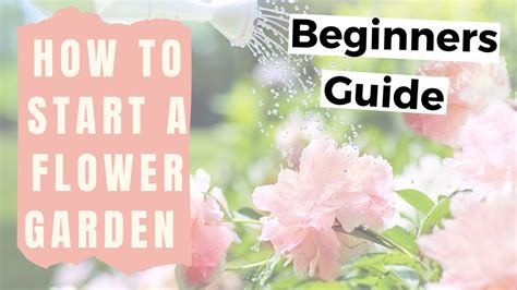 How To Start A Flower Garden For Beginners Home Gardening For