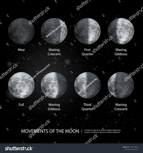 Movements Moon Phases Realistic Vector Illustration Stok Vektör