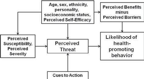 schematic representation of the health belief model download scientific diagram