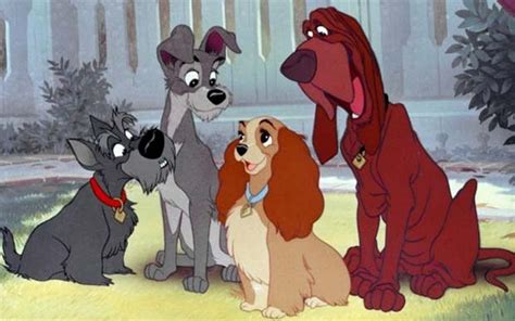 Five Questions We Still Have For Lady And The Tramp