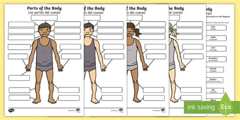 There are those parts located outside (external body parts) and others located inside the body (internal parts of body). Body Parts Labelling Activity - English / Spanish - EAL ...