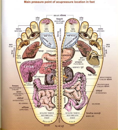 pin on reflexologie