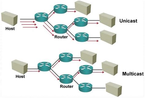 Networking Multicasting